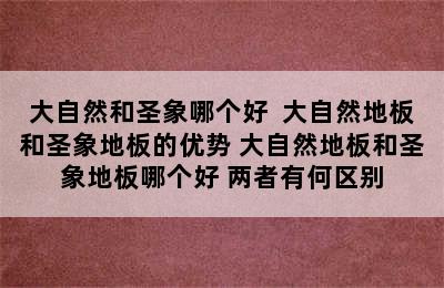 大自然和圣象哪个好  大自然地板和圣象地板的优势 大自然地板和圣象地板哪个好 两者有何区别